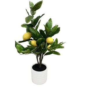 Artificial Lemon Tree‎ Planter Faux Silk Leaves Table Top Home Decor 24" Tall